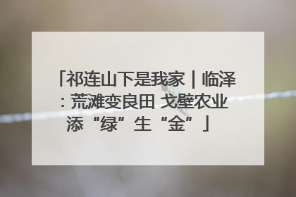 祁连山下是我家｜临泽：荒滩变良田 戈壁农业添“绿”生“金”