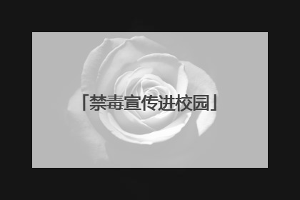 禁毒宣传进校园