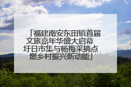 福建南安东田镇首届文旅嘉年华盛大启幕 圩日市集与杨梅采摘点燃乡村振兴新动能