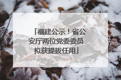福建公示！省公安厅两位党委委员拟获提拔任用