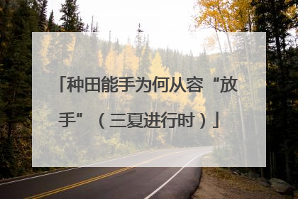 种田能手为何从容“放手”（三夏进行时）