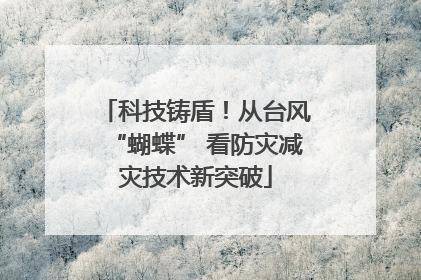 科技铸盾！从台风“蝴蝶” 看防灾减灾技术新突破