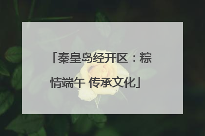 秦皇岛经开区：粽情端午 传承文化
