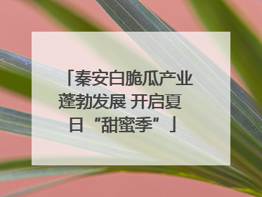 秦安白脆瓜产业蓬勃发展 开启夏日“甜蜜季”
