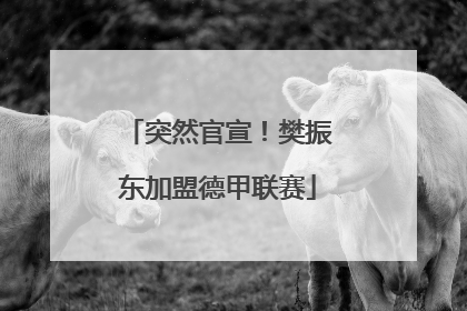 突然官宣！樊振东加盟德甲联赛