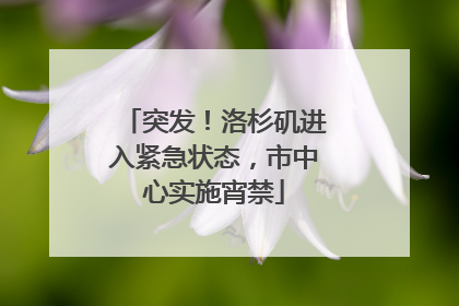 突发！洛杉矶进入紧急状态，市中心实施宵禁