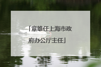 章雄任上海市政府办公厅主任