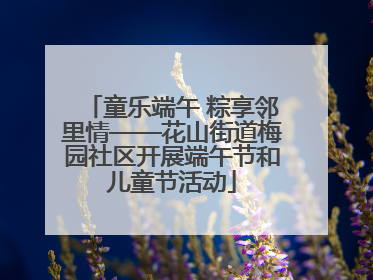童乐端午 粽享邻里情——花山街道梅园社区开展端午节和儿童节活动