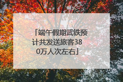 端午假期武铁预计共发送旅客380万人次左右
