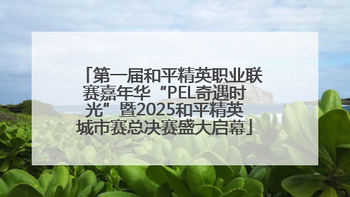 第一届和平精英职业联赛嘉年华“PEL奇遇时光”暨2025和平精英城市赛总决赛盛大启幕