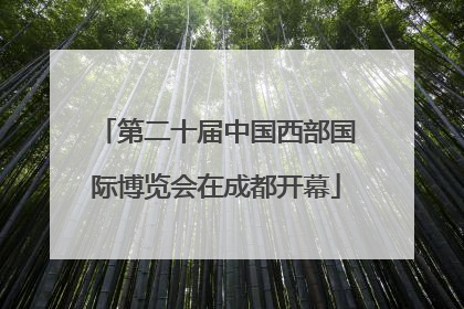 第二十届中国西部国际博览会在成都开幕