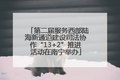 第二届服务西部陆海新通道建设司法协作“13+2”推进活动在南宁举办