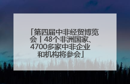 第四届中非经贸博览会丨48个非洲国家、4700多家中非企业和机构将参会