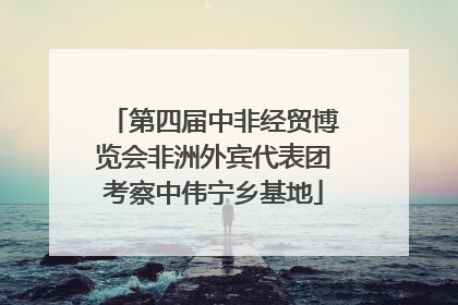 第四届中非经贸博览会非洲外宾代表团考察中伟宁乡基地