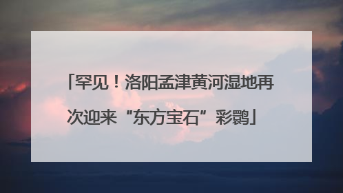罕见！洛阳孟津黄河湿地再次迎来“东方宝石”彩鹮