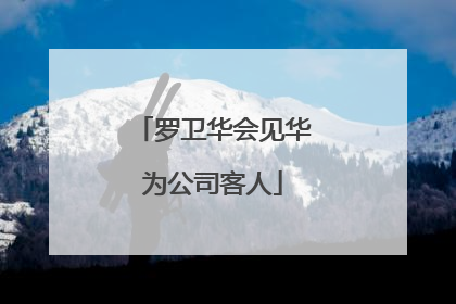 罗卫华会见华为公司客人