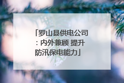 罗山县供电公司：内外兼顾 提升防汛保电能力