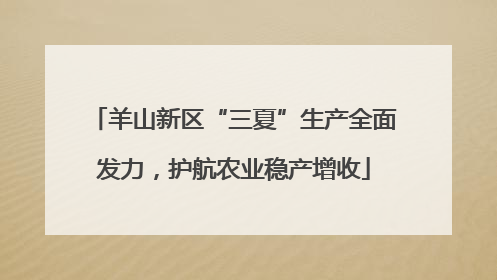 羊山新区“三夏”生产全面发力，护航农业稳产增收