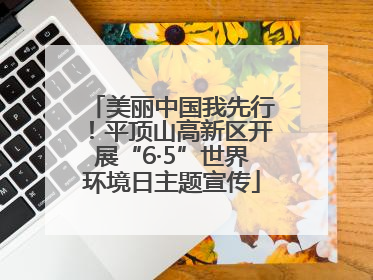 美丽中国我先行！平顶山高新区开展“6·5”世界环境日主题宣传