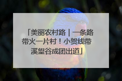 美丽农村路｜一条路带火一片村！小贺线带溪望谷成团出道