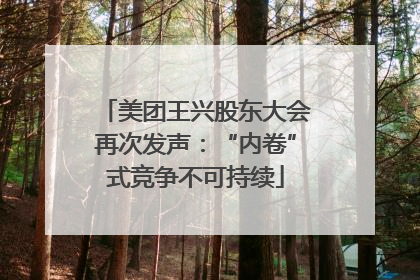 美团王兴股东大会再次发声：“内卷”式竞争不可持续