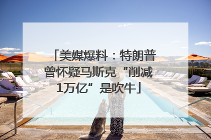 美媒爆料：特朗普曾怀疑马斯克“削减1万亿”是吹牛