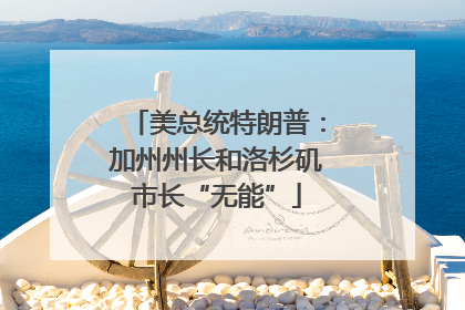 美总统特朗普：加州州长和洛杉矶市长“无能”