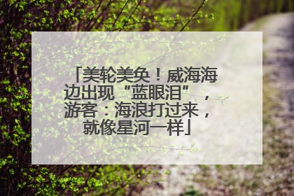 美轮美奂！威海海边出现“蓝眼泪”，游客：海浪打过来，就像星河一样