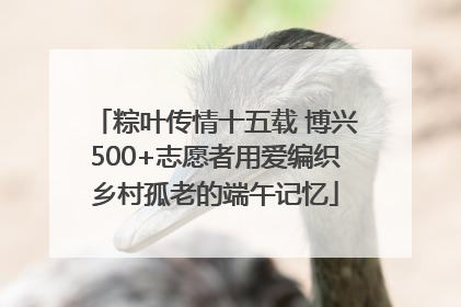 粽叶传情十五载 博兴500+志愿者用爱编织乡村孤老的端午记忆