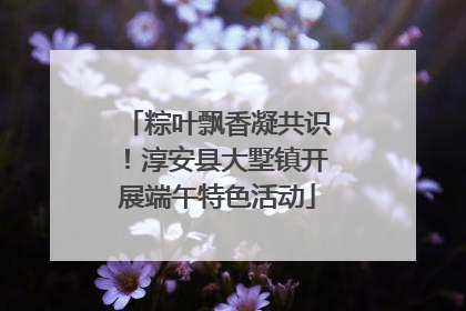 粽叶飘香凝共识！淳安县大墅镇开展端午特色活动