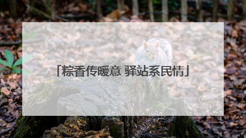 粽香传暖意 驿站系民情