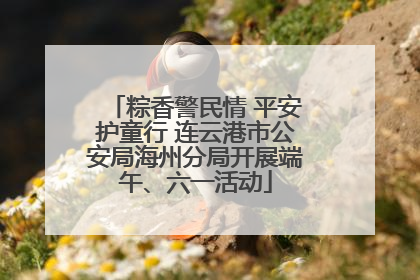 粽香警民情 平安护童行 连云港市公安局海州分局开展端午、六一活动