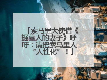 索马里大使借《掘墓人的妻子》呼吁：请把索马里人“人性化”！