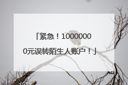 紧急！10000000元误转陌生人账户！
