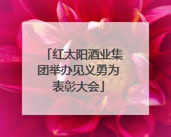 红太阳酒业集团举办见义勇为表彰大会