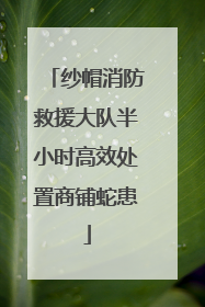 纱帽消防救援大队半小时高效处置商铺蛇患