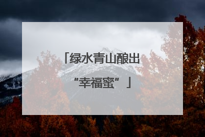 绿水青山酿出“幸福蜜”