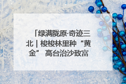 绿满陇原·奇迹三北｜梭梭林里种“黄金” 高台治沙致富很“从容”