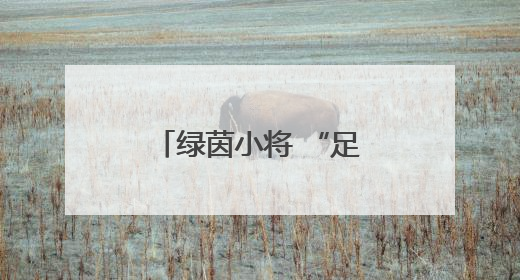 绿茵小将 “足”梦成长！榕江“园超”开赛