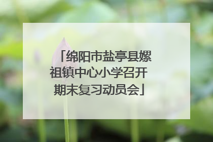 绵阳市盐亭县嫘祖镇中心小学召开期末复习动员会