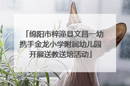 绵阳市梓潼县文昌一幼携手金龙小学附属幼儿园开展送教送培活动