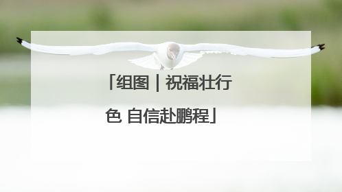 组图｜祝福壮行色 自信赴鹏程