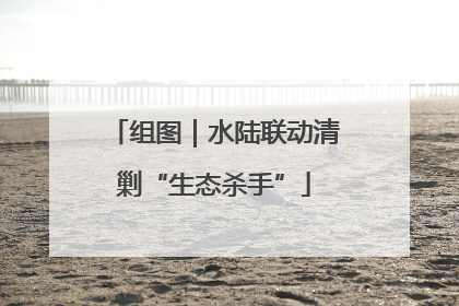 组图｜水陆联动清剿“生态杀手”
