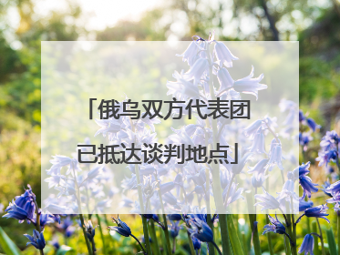 俄乌双方代表团已抵达谈判地点