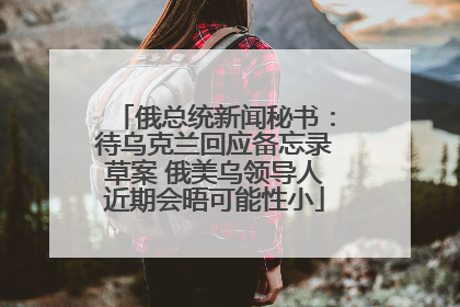 俄总统新闻秘书：待乌克兰回应备忘录草案 俄美乌领导人近期会晤可能性小