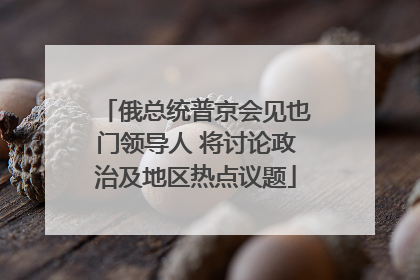 俄总统普京会见也门领导人 将讨论政治及地区热点议题