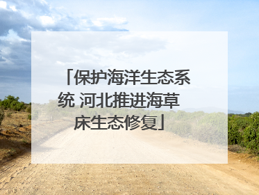 保护海洋生态系统 河北推进海草床生态修复