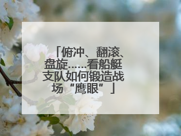俯冲、翻滚、盘旋……看船艇支队如何锻造战场“鹰眼”
