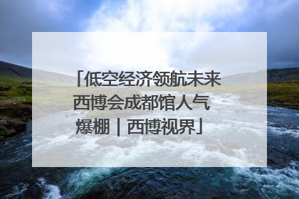 低空经济领航未来 西博会成都馆人气爆棚｜西博视界