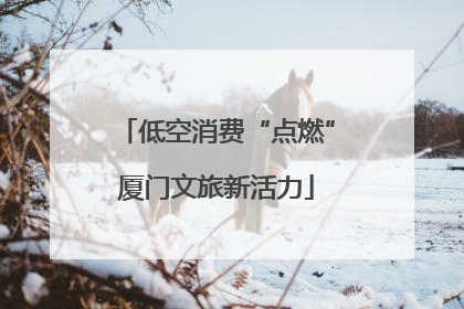 低空消费“点燃”厦门文旅新活力